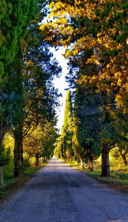 Agriturismo Annibale Tuoro sul Trasimeno Kültér fotó