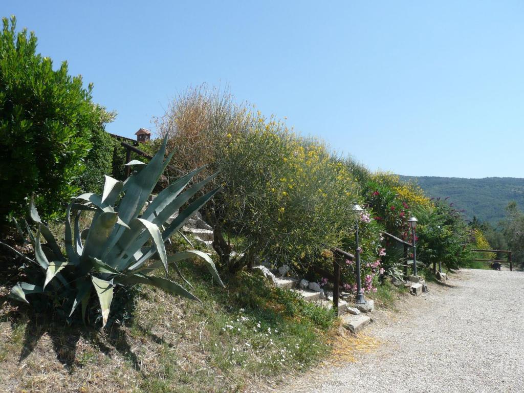 Agriturismo Annibale Tuoro sul Trasimeno Kültér fotó